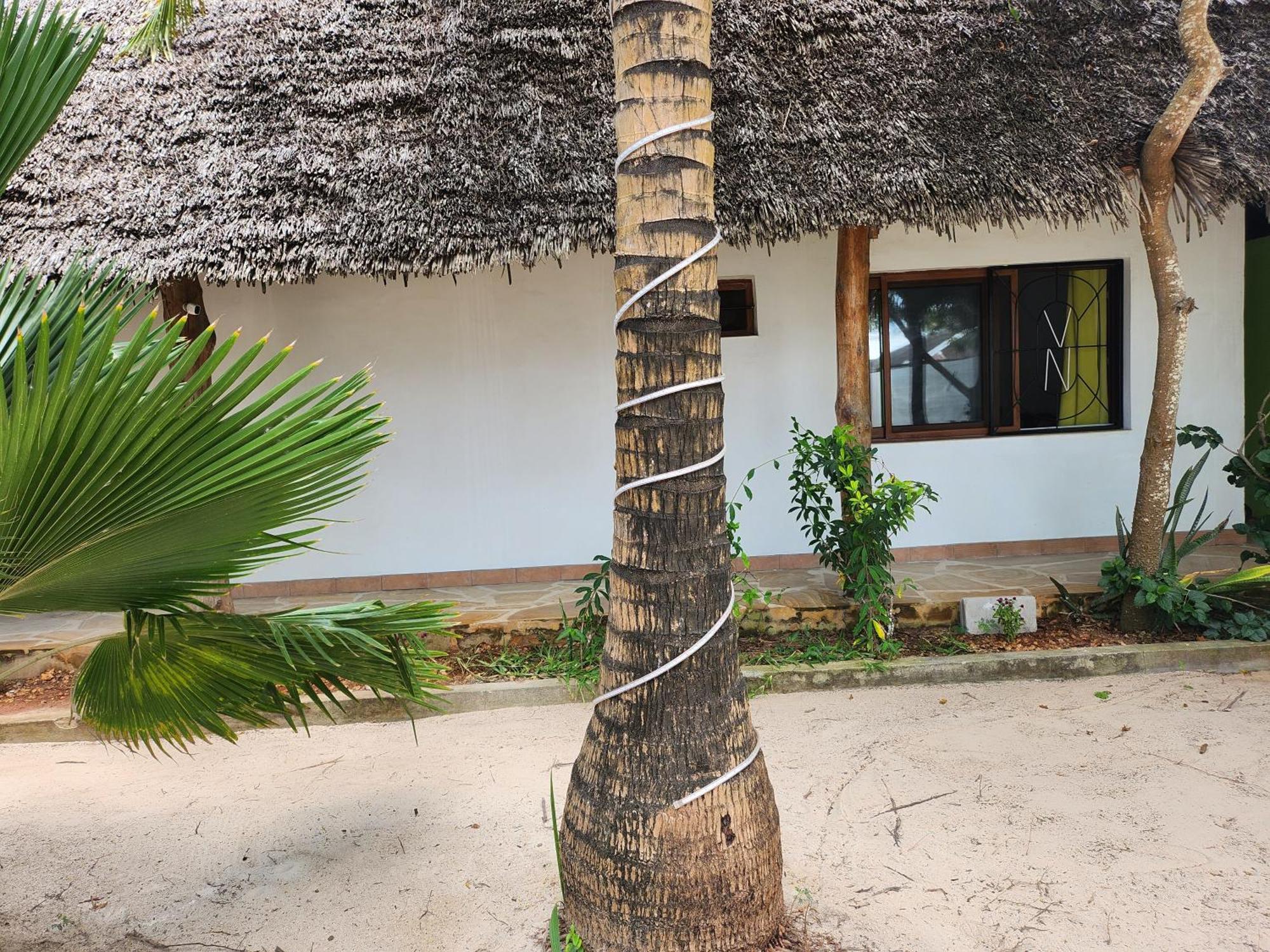 Villa Noah Beach Zanzibar Kiwengwa  Exterior foto