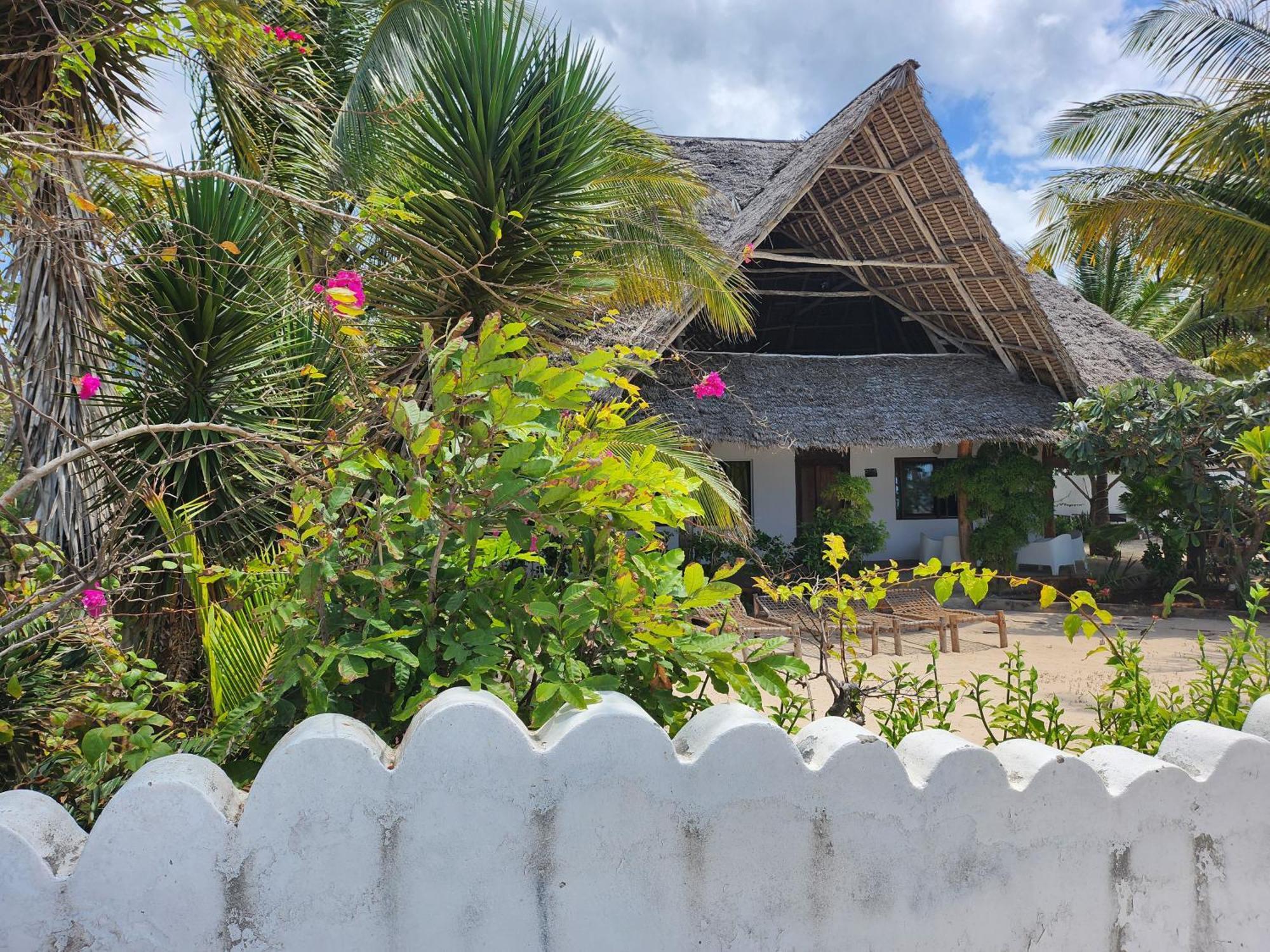 Villa Noah Beach Zanzibar Kiwengwa  Exterior foto