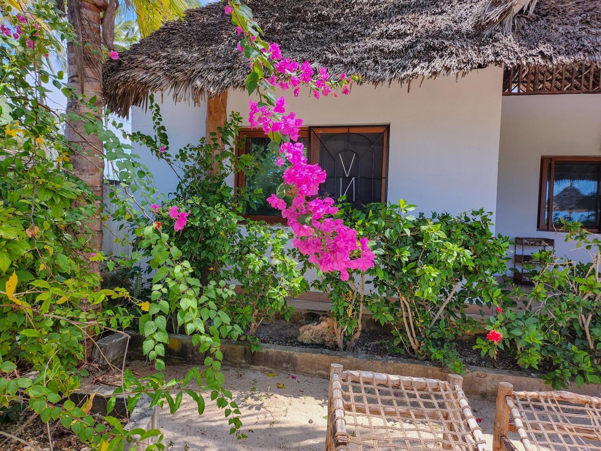 Villa Noah Beach Zanzibar Kiwengwa  Exterior foto